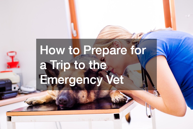 How to Prepare for a Trip to the Emergency Vet