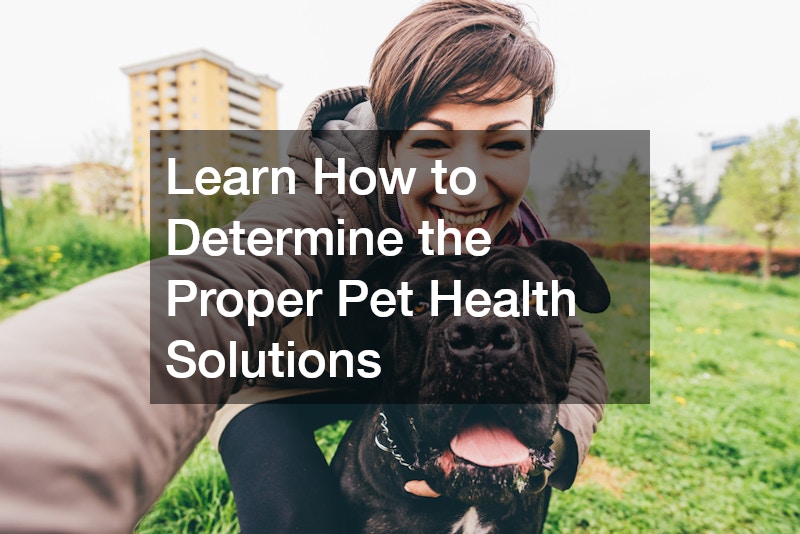 Learn How to Determine the Proper Pet Health Solutions