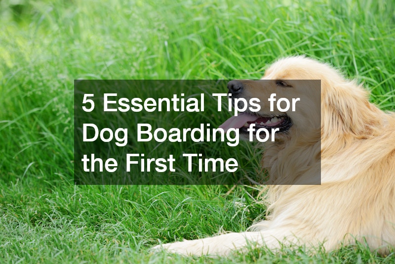 5 Tips for the First Time Boarding Your Dog
