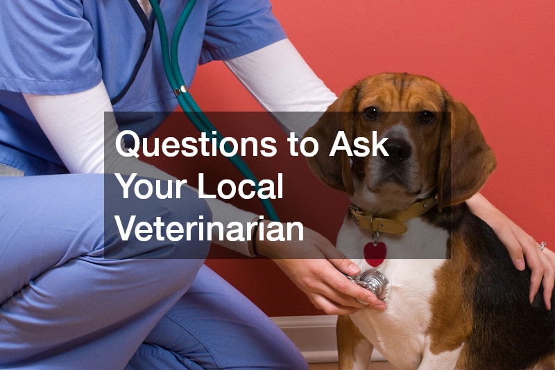 Questions to Ask Your Local Veterinarian