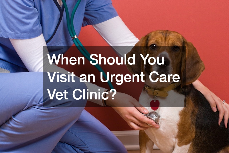 When Should You Visit an Urgent Care Vet Clinic?