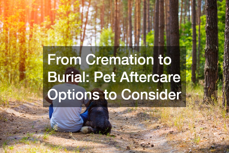 From Cremation to Burial  Pet Aftercare Options to Consider