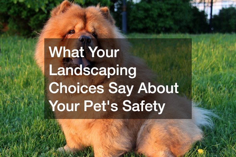 What Your Landscaping Choices Say About Your Pets Safety