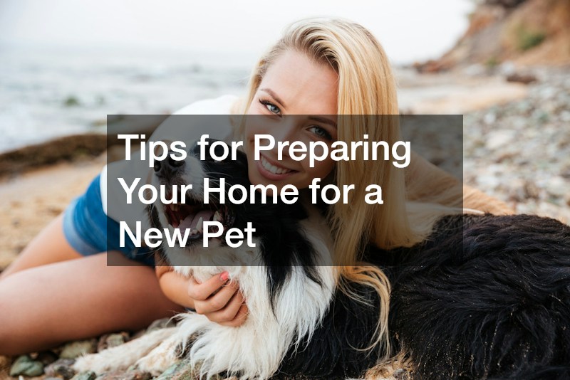 Tips for Preparing Your Home for a New Pet